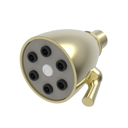 Newport Brass Shower Head, Uncoated Polished Brass (Living, non-returnable), Side 212-03N